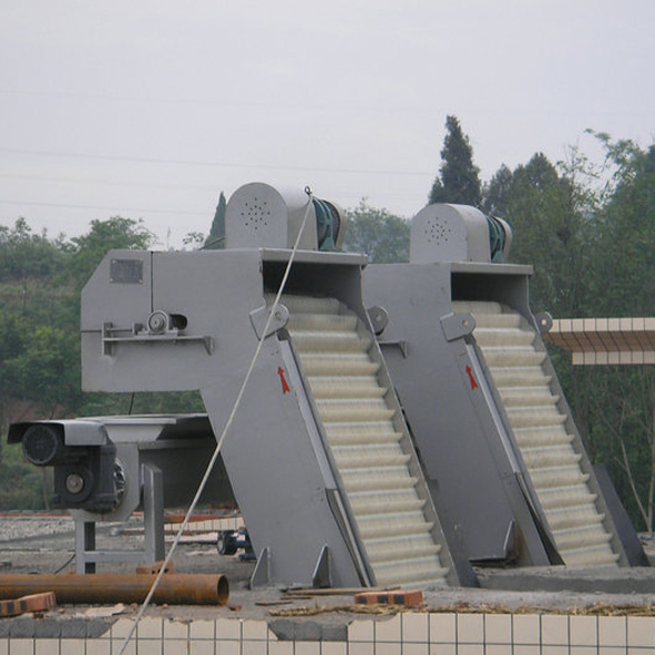 6251.jpg
